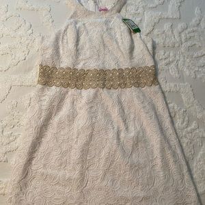 NWT Lilly Pulitzer Ashlyn shift dress 14